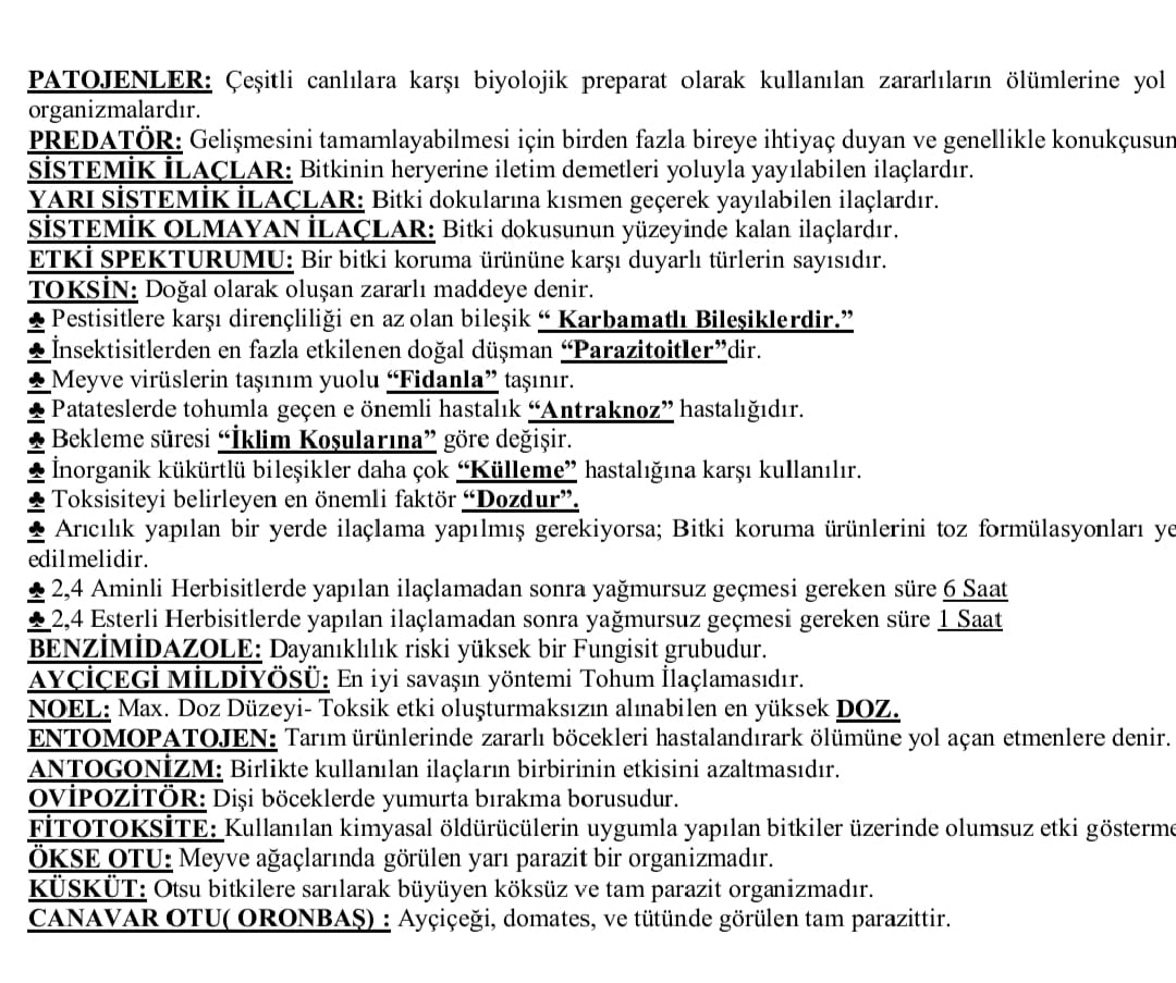 Yönetmelik notlarından örnek sayfa