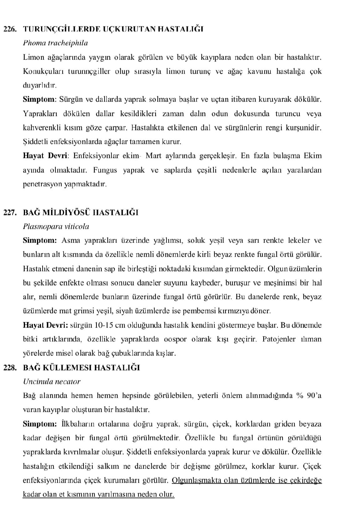 Detaylı konu anlatımı notları